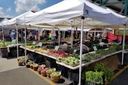Minneapolis Top 3 Farmers Markets Ranked