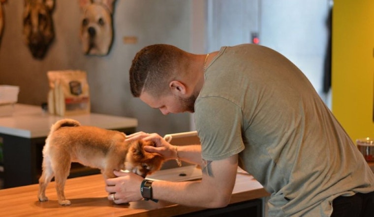 Miami's top 4 pet stores, ranked