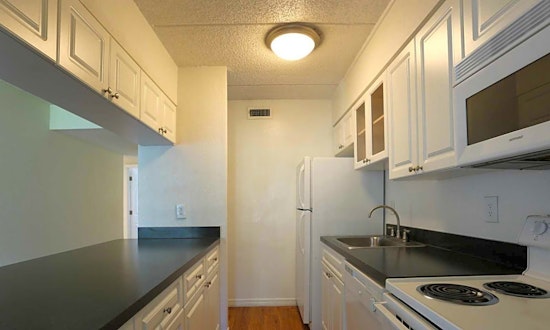 Renting in Tampa: What's the cheapest apartment available right now?