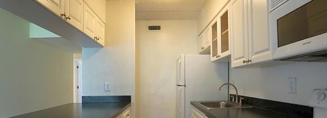 Renting in Tampa: What's the cheapest apartment available right now?