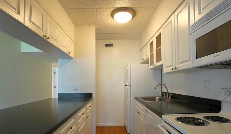 Renting in Tampa: What's the cheapest apartment available right now?