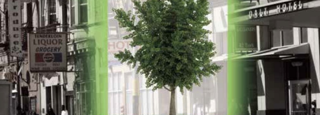 A Touch Of Green: The State Of Neighborhood Trees In The Tenderloin