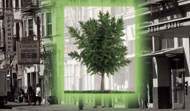 A Touch Of Green: The State Of Neighborhood Trees In The Tenderloin