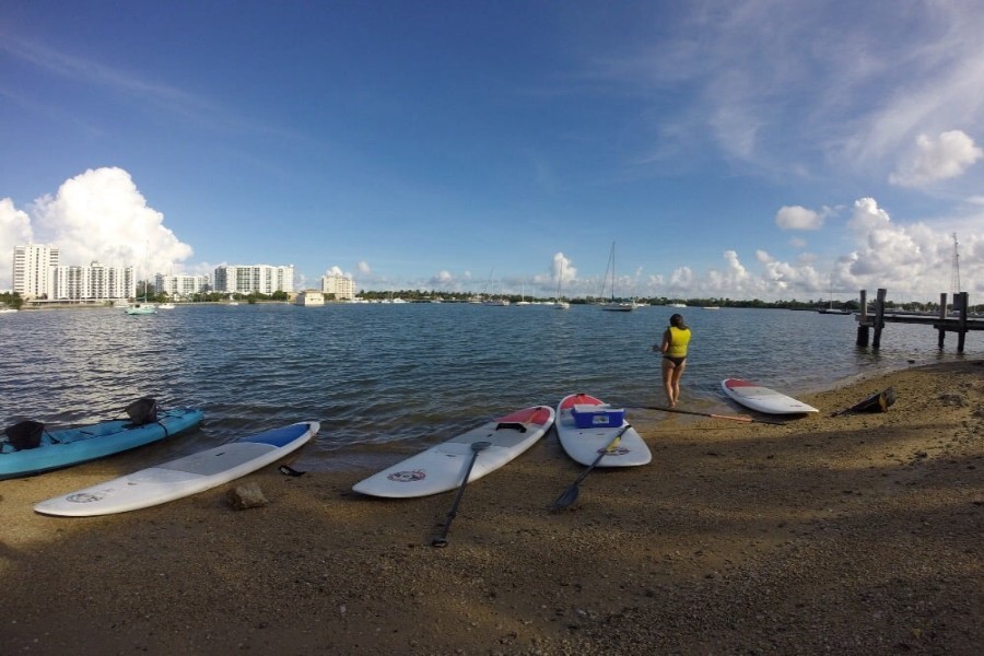 The 4 best paddleboarding spots in Miami
