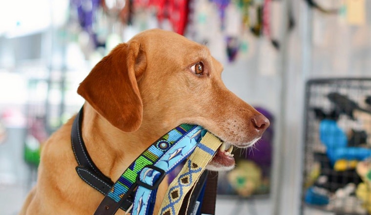 Discover the 4 best pet stores in Fort Worth