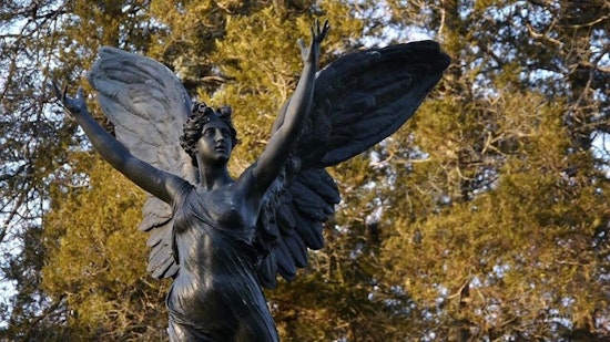 3 can't-miss community events in New York City this week