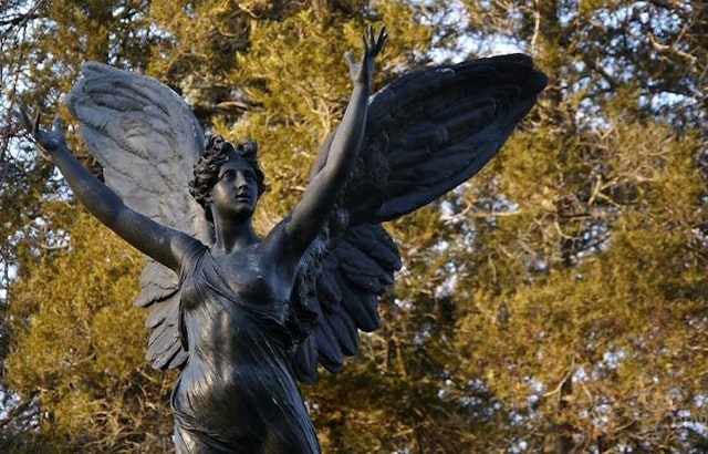 3 can't-miss community events in New York City this week