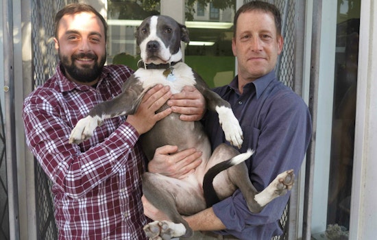 JK Antiques Becomes 'Buddy Braces'