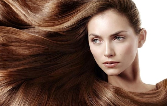 Explore 3 top affordable hair salons in Tampa