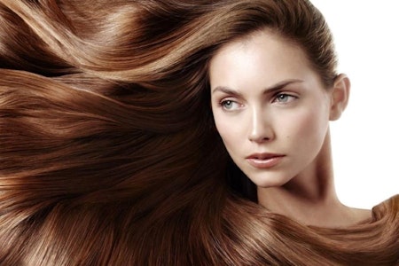 Explore 3 top affordable hair salons in Tampa