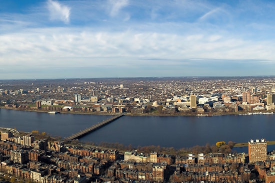 Top Boston news: Uptick in pets left outside shelter; officer rescues parakeet from traffic