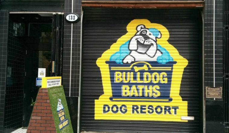 Historic Gay Bathhouse Now Transformed To Puppy Paradise