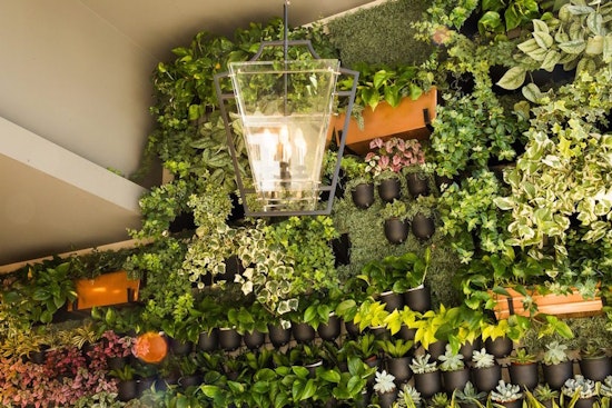 In bloom: Check out 4 of Los Angeles' newest plant nurseries