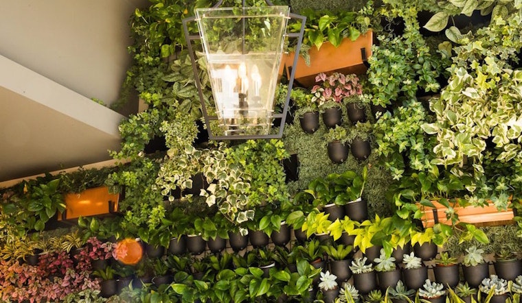 In bloom: Check out 4 of Los Angeles' newest plant nurseries