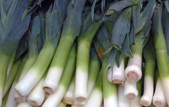 Revamped Upper Haight Farmers Market To Debut April 15th