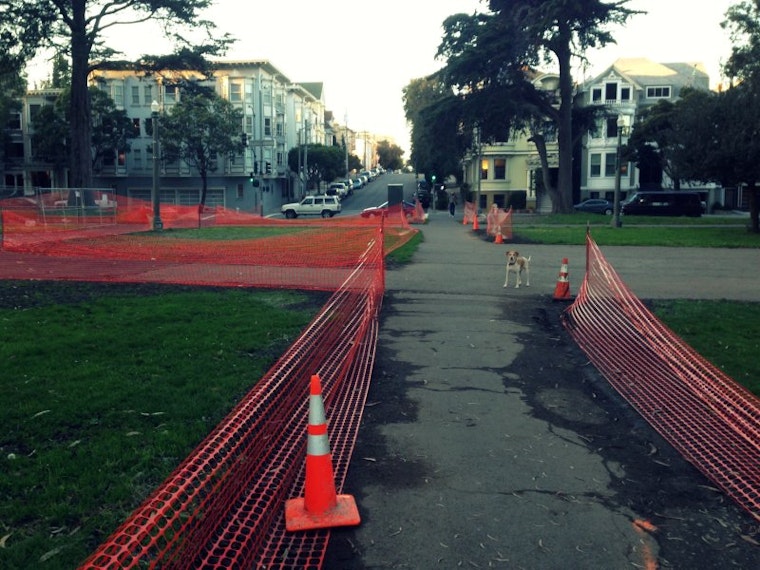 Meeting This Saturday To Discuss Improvements To Panhandle's Ashbury Intersections