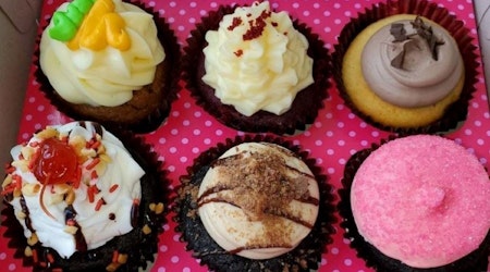 4 top spots for cupcakes in Tampa