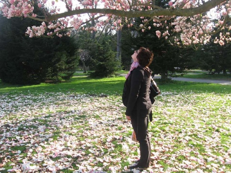 Spring Brings Zumba, Art Education, Magnolia Tours And Spinach To The Inner Sunset