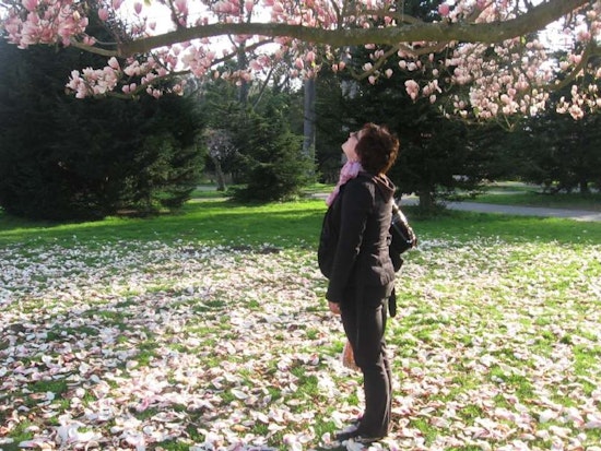 Spring Brings Zumba, Art Education, Magnolia Tours And Spinach To The Inner Sunset