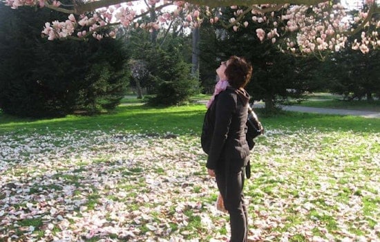 Spring Brings Zumba, Art Education, Magnolia Tours And Spinach To The Inner Sunset