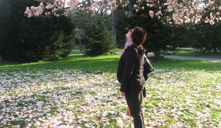 Spring Brings Zumba, Art Education, Magnolia Tours And Spinach To The Inner Sunset