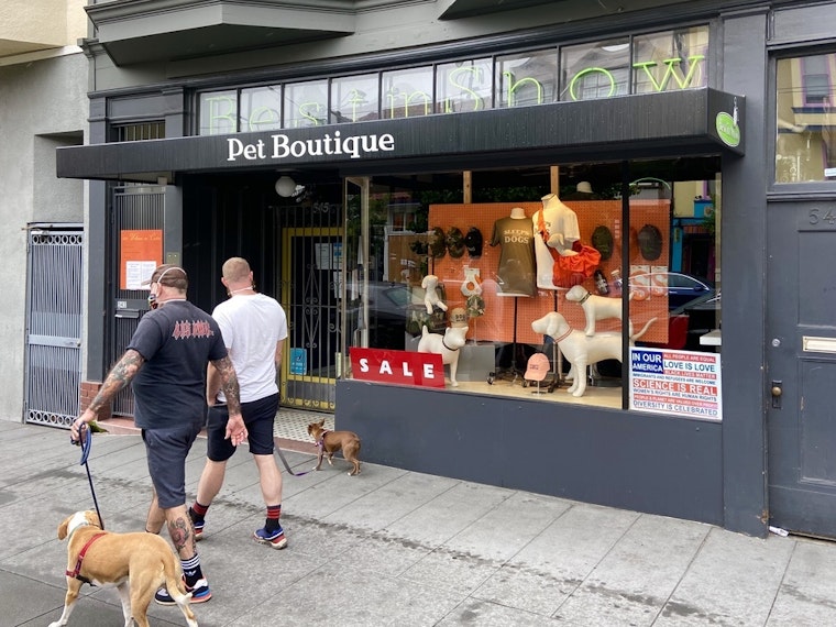 The Dog Bar - Boutique Pet Store in Miami