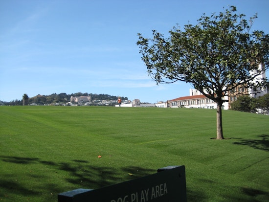 Dolores Park Renovation Moving Along Despite Delays And Vandalism