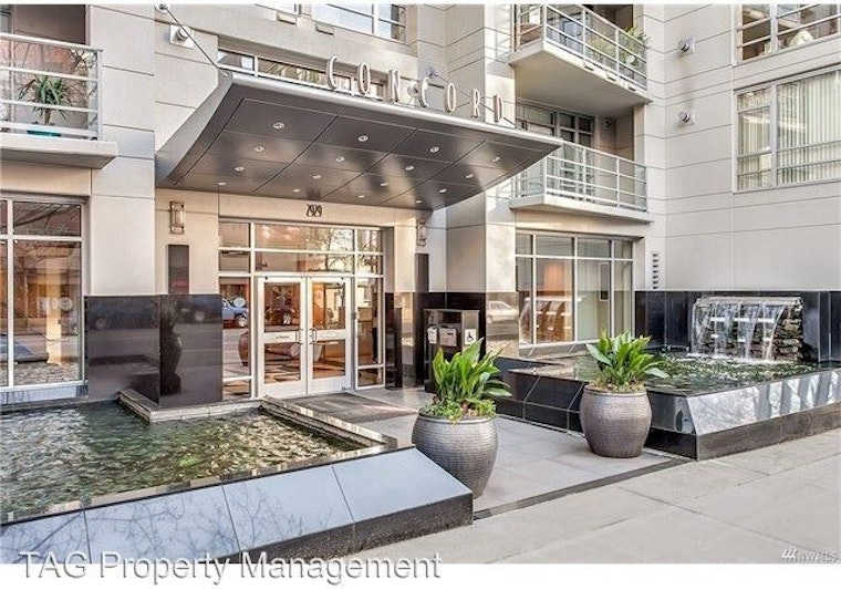 What's the cheapest rental available in Belltown, right now?
