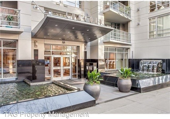 What's the cheapest rental available in Belltown, right now?