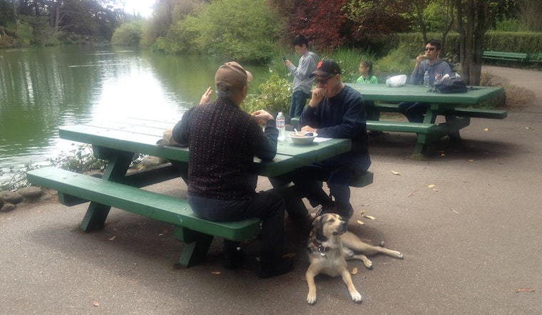 Dog Owners On Edge As Suspicious Meat Found In Park