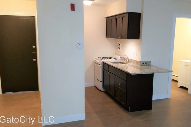 What apartments will $800 rent you in Lower East Side, today?