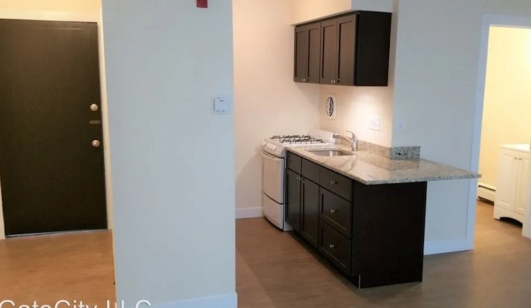 What apartments will $800 rent you in Lower East Side, today?