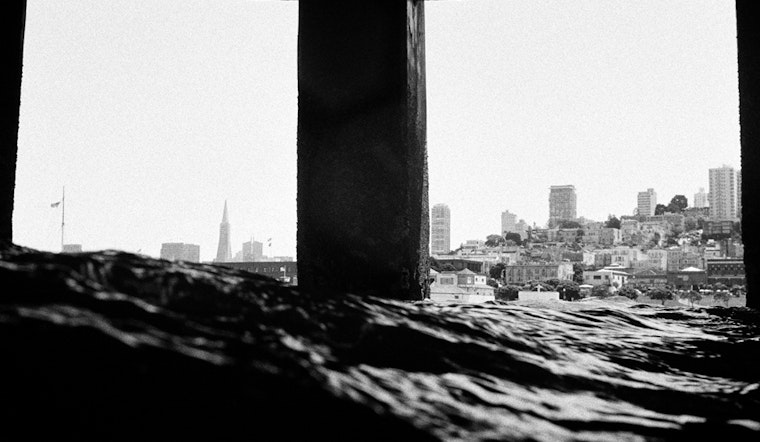 New Harvey Milk Photo Center Shows Highlight Maori, Maritime Perspectives