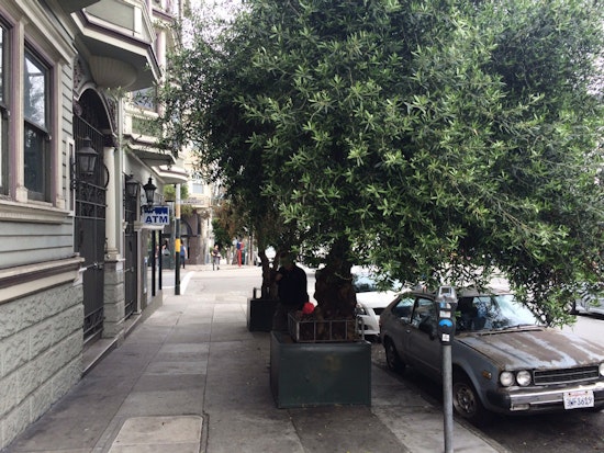 Man Stabbed At Haight & Clayton