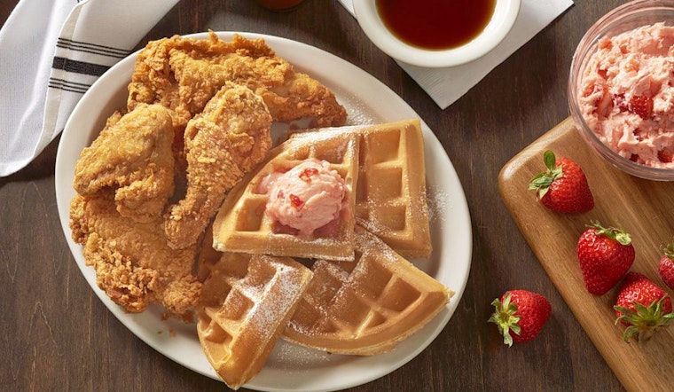 Tampa's top 4 diners to visit now