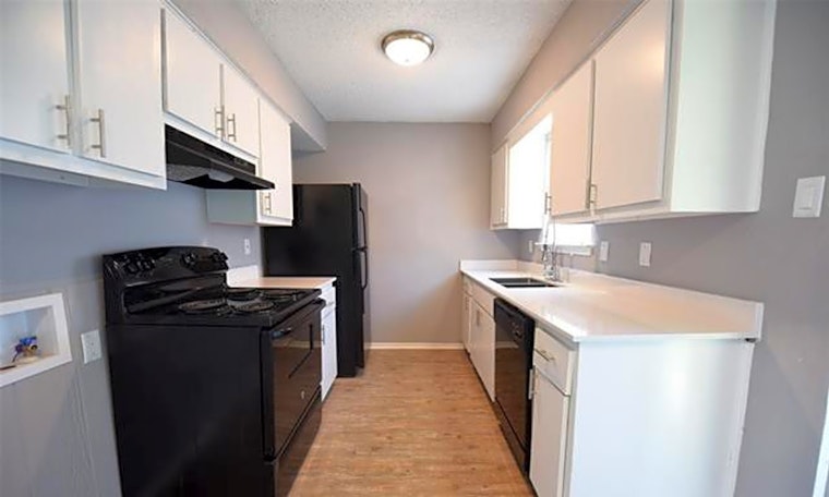 What apartments will $1,000 rent you in Southeast Dallas, this month?
