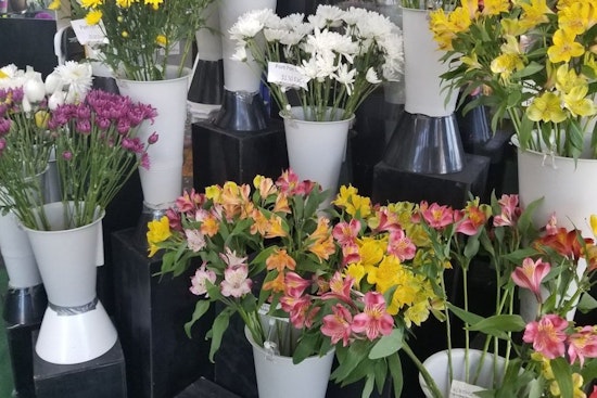 Long Beach's 3 top florists (that won't break the bank)