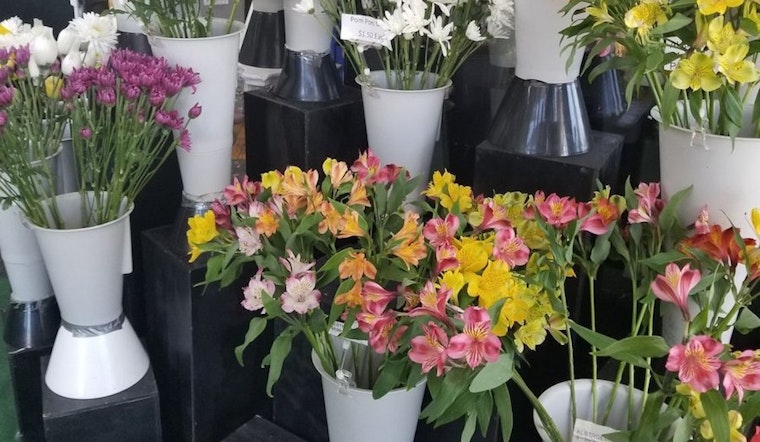 Long Beach's 3 top florists (that won't break the bank)