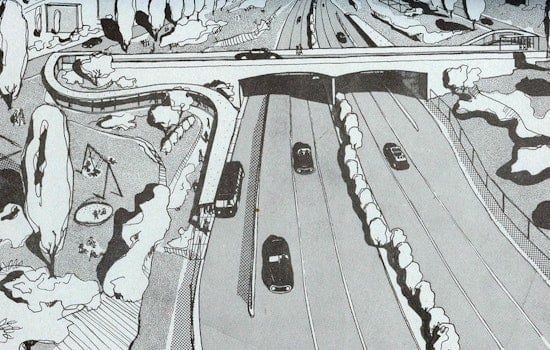 The Panhandle Freeway And The Revolt That Saved The Park