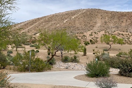 Las Vegas' top 4 parks, ranked