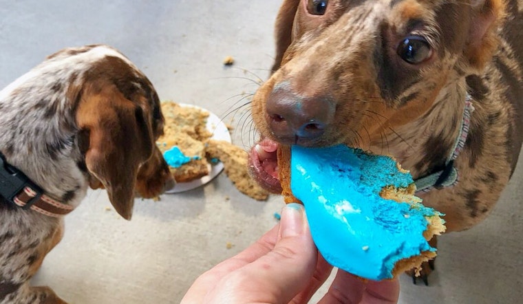 Woof Gang Bakery & Grooming is now open in West University