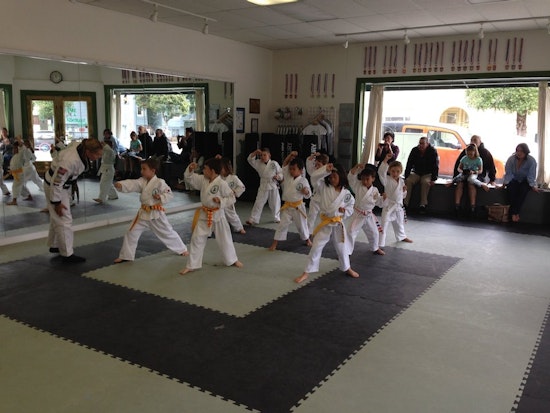 Inside The Inner Sunset's Paresh Martial Arts Studio
