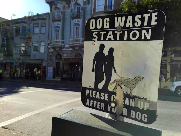 Checking In On Efforts To Curb Dog Waste In The Haight