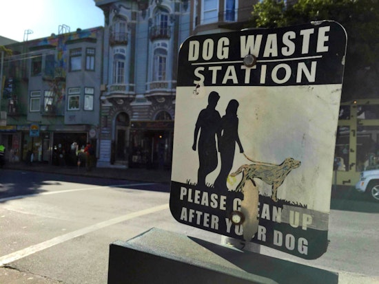 Checking In On Efforts To Curb Dog Waste In The Haight