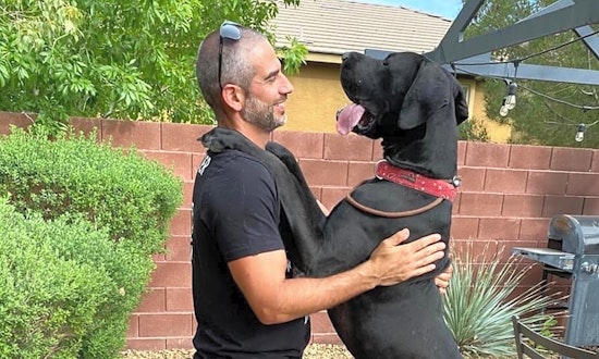 Want to adopt a pet? Here are 7 cuddly canines to adopt now in Las Vegas