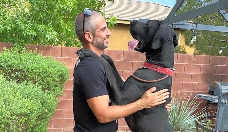 Want to adopt a pet? Here are 7 cuddly canines to adopt now in Las Vegas