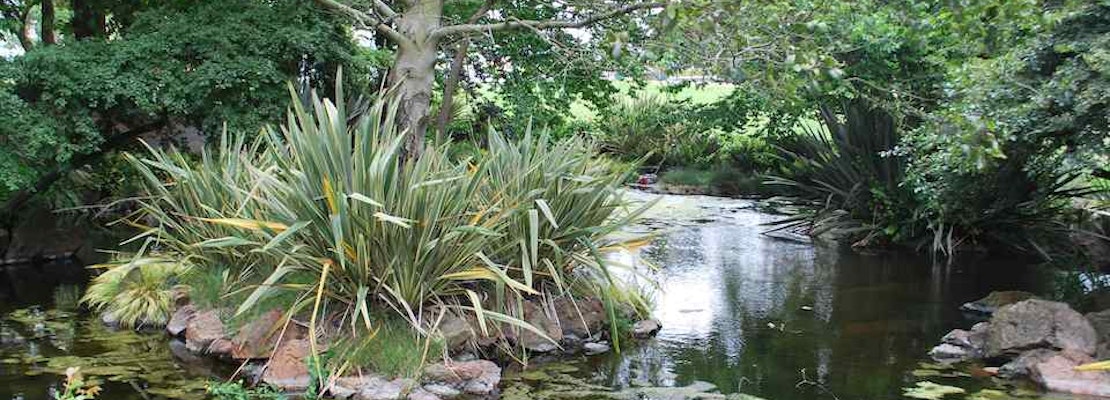 Rec and Park, Exploratorium seek input on Alvord Lake installation