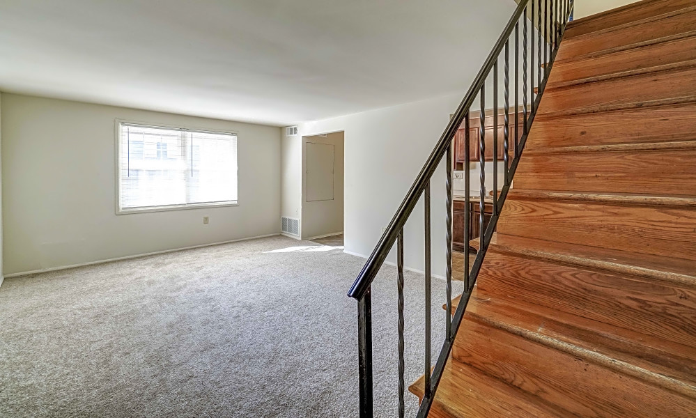 Apartments for rent in Baltimore What will 800 get you?