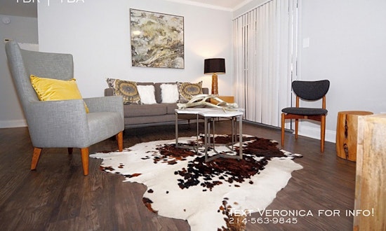What apartments will $1,600 rent you in South Lamar, right now?