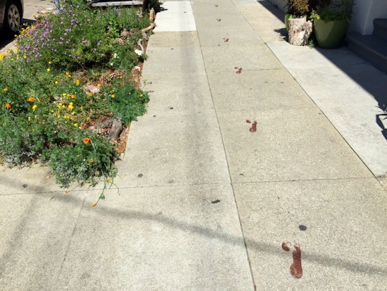 Disturbing Footprints Leave Neighborhood Concerned